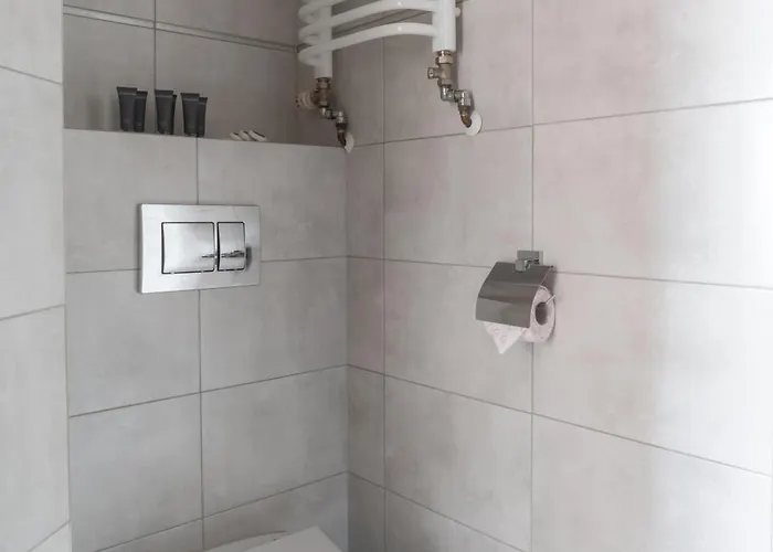 Widok Pensjonat Bukowina Tatrzańska